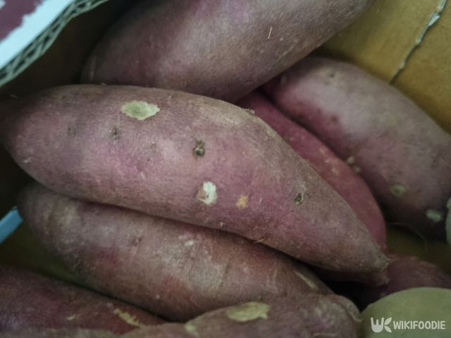 고구마. / 위키푸디