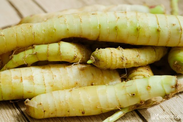 칡 자료사진. / Faizal Afnan-shutterstock.com