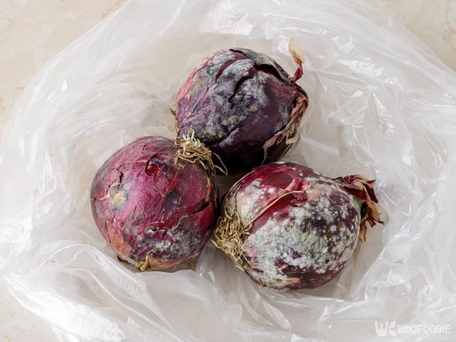 양파 자료사진. / Maryia_K-shutterstock.com