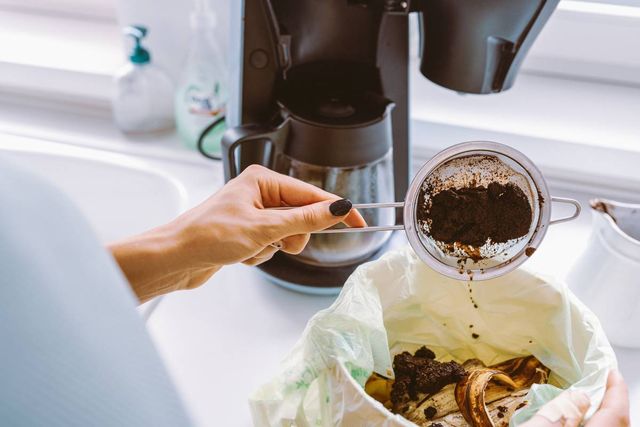 기사 이해를 돕기 위한 자료 사진 / larisa Stefanjuk-shutterstock