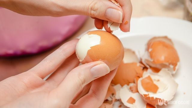 달걀 껍질 자료사진. / ERIK Miheyeu-shutterstock.com