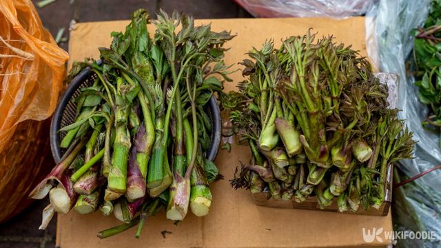 두릅 자료사진. / LegoCamera-shutterstock.com