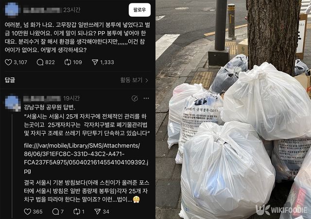 쓰레기 단속에 대한 불만 글. / 온라인 커뮤니티(왼), pink stockers-shutterstock.com(우)