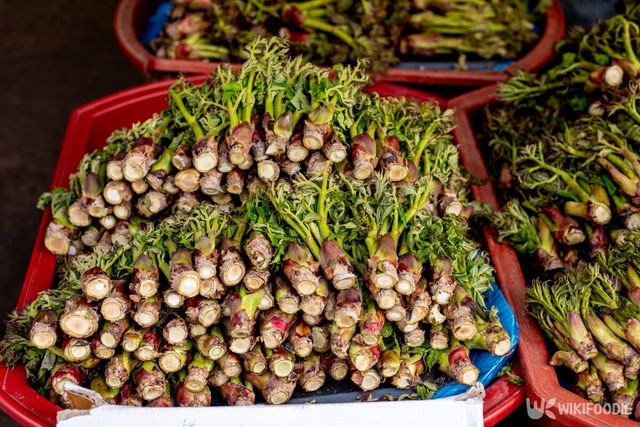 두릅 자료사진. / LegoCamera-shutterstock.com