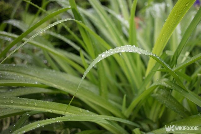 기사의 이해를 돕기 위한 이미지. / PhotosAndClips-shutterstock.com