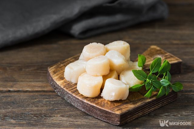 관자 자료사진. / Liudmila Zavialova-shutterstock.com