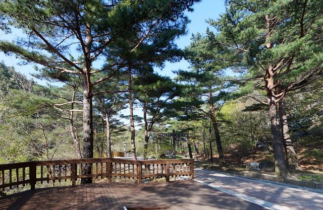 강릉솔향수목원. / 강릉솔향수목원 공식 홈페이지