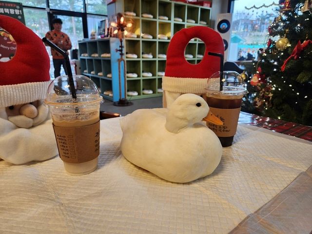 디코이덕. / 업체등록사진