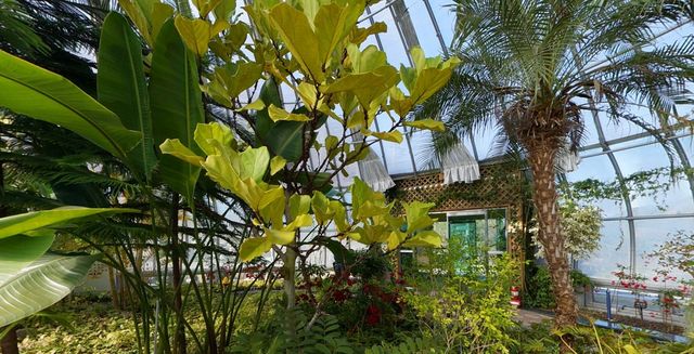 강릉솔향수목원. / 강릉솔향수목원 공식 홈페이지