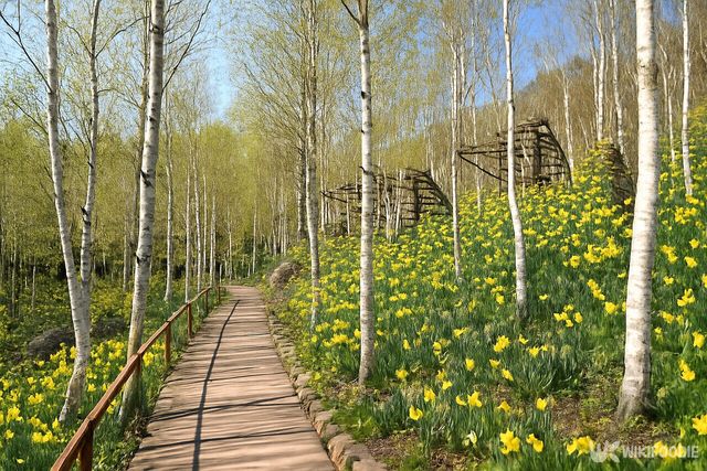 화담숲. / 위키푸디