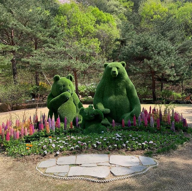 강릉솔향수목원. / 강릉솔향수목원 공식 인스타그램 갈무리