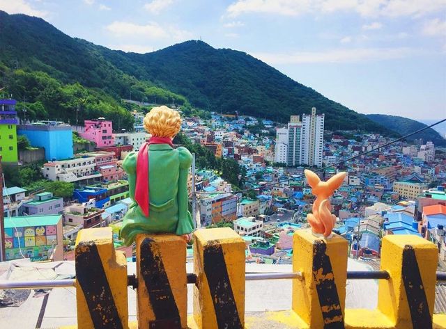 감천문화마을 업체사진.