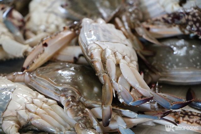 꽃게 자료사진. / shinja jang-shutterstock.com