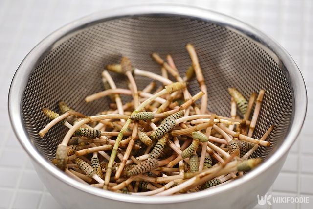 쇠뜨기 자료사진. / bonchan-shutterstock.com