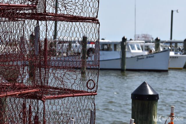 바다 자료사진. / Dee Dalasio-shutterstock.com