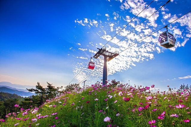 목포해상케이블카 북항승강장 업체사진.