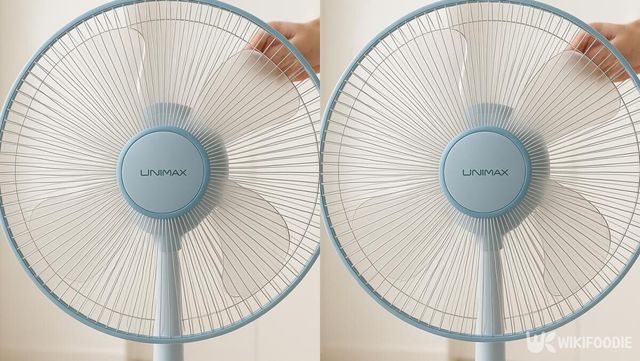 기사 이해를 돕기 위한 자료 사진 / 위키푸디