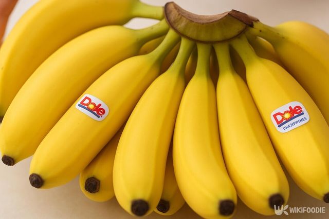 기사 이해를 돕기 위한 자료 사진 / 위키푸디