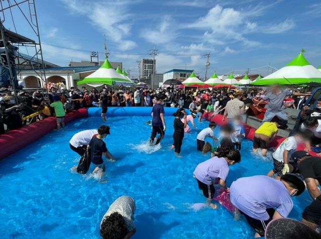 장항항 수산물 꼴갑 축제. / 서천군 공식 블로그