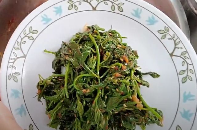 노박덩굴 나물무침. / 유튜브 채널 '자연인은경'