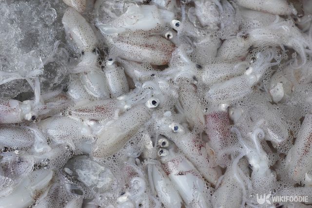 꼴뚜기. / meaofoto-shutterstock.com