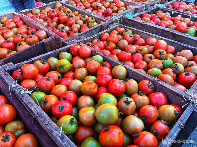 토마토 자료사진. / La Here Kaharfin-shutterstock.com