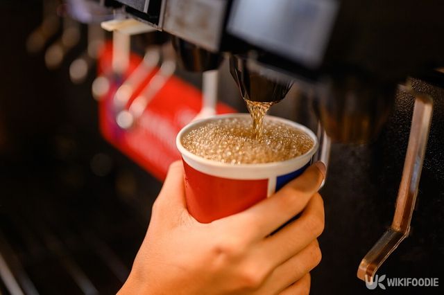 탄산음료. / Day Of Victory Studio-shutterstock.com