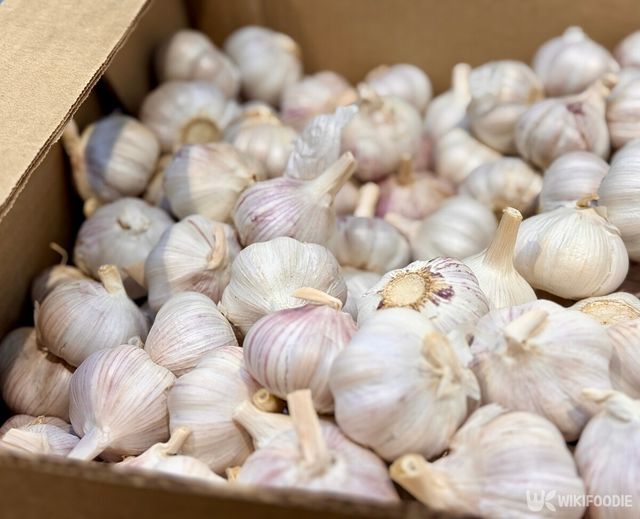 마늘. / vipvn-shutterstock.com