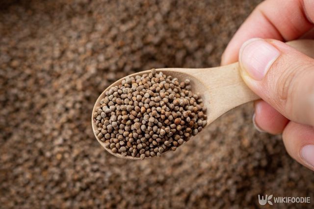 들깨 자료 사진. / Oporty786-shutterstock