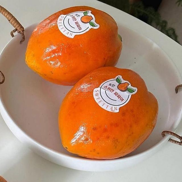 국내에서 재배된 스위탄 파파야 자료사진. / 스위탄 파파야 인스타그램