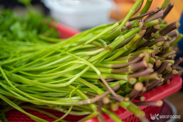미나리 자료사진. / Daecheol-shutterstock.com