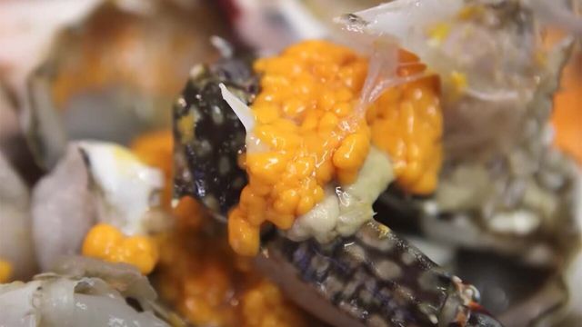 꽃게 / '입질의추억TV' 유튜브