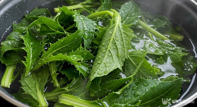 엉겅퀴 나물 세척하는 모습. / 위키푸디