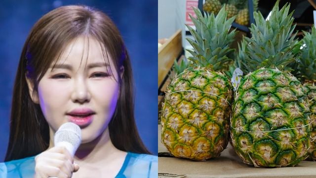 가수 송가인(38)이 과식 후 먹으면 좋은 과일로 파인애플을 꼽았다. / 송가인 인스타그램 갈무리, satria.tradi-shutterstock.com