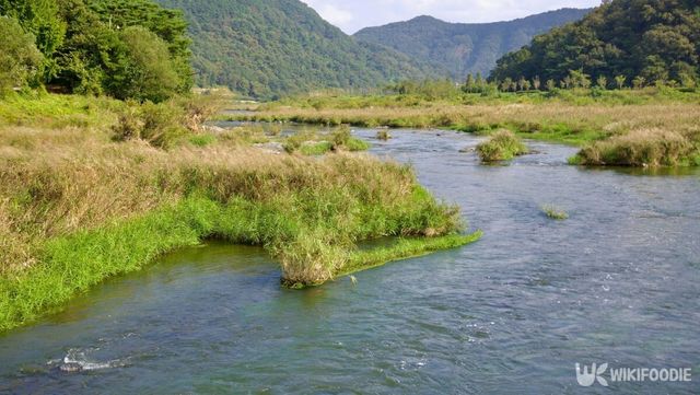 기사 이해를 돕기 위한 습지 자료 사진. / Korea by Bike-shutterstock
