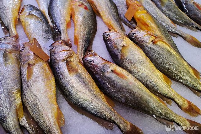 부세는 참조기와 많이 닮은 생선으로, 굴비를 만들 때 자주 쓰인다. / canghai76-shutterstock.com