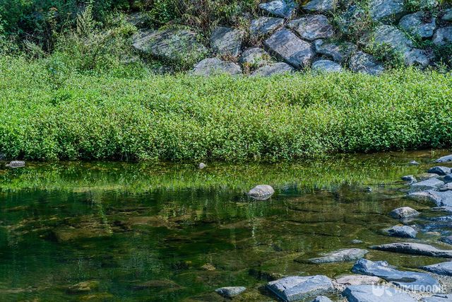 한국의 얕은 개울가. / aminkorea-shutterstock.com