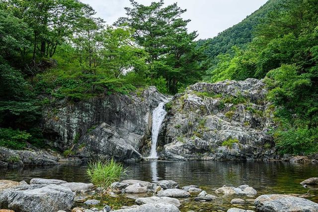 삼척 활기 치유의 숲. / 업체등록사진