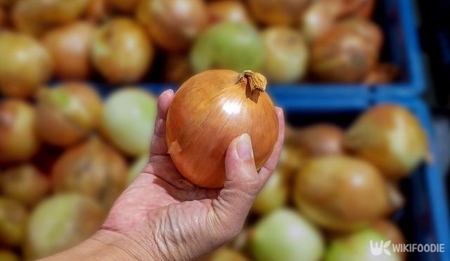 표면에 윤기가 도는 좋은 양파. / pong-photo9-shutterstock