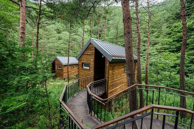 삼척 활기 치유의 숲. / 업체등록사진