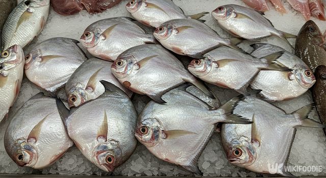 병어 자료사진. / 위키푸디