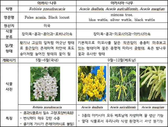 아까시 꿀 vs 아카시아 꿀 구별법. / 농촌진흥청 제공