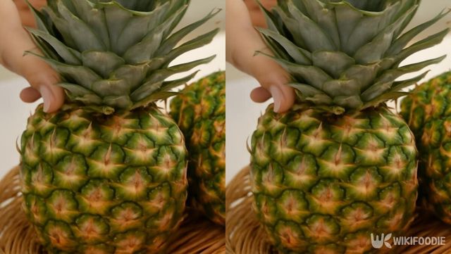 기사 이해를 돕기 위한 자료 사진 / 위키푸디