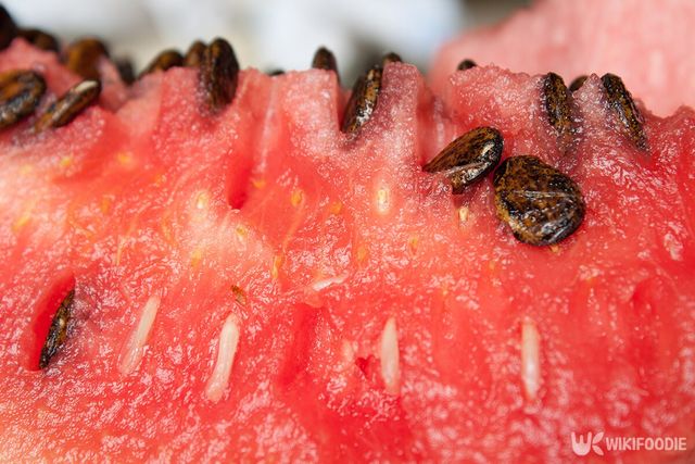 수박씨 자료사진. / Denis Ososov-shutterstock.com