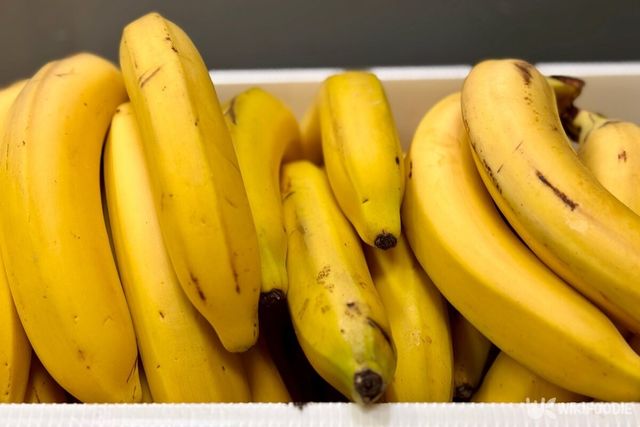 기사 이해를 돕기 위한 자료 사진 / 위키푸디