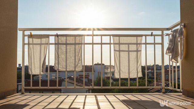 기사 이해를 돕기 위한 자료 사진 / 위키푸디