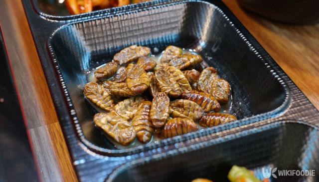 번데기 자료 사진. / Hyung min Choi-shutterstock