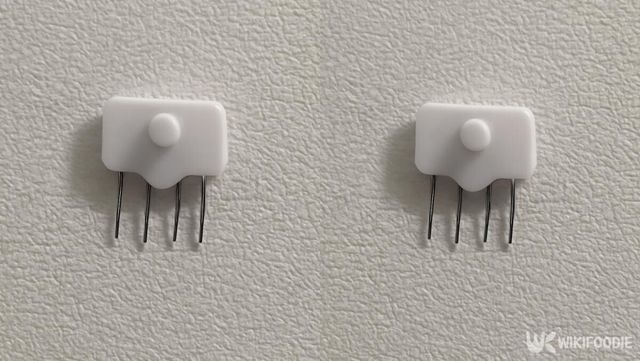 기사 이해를 돕기 위한 자료 사진 / 위키푸디