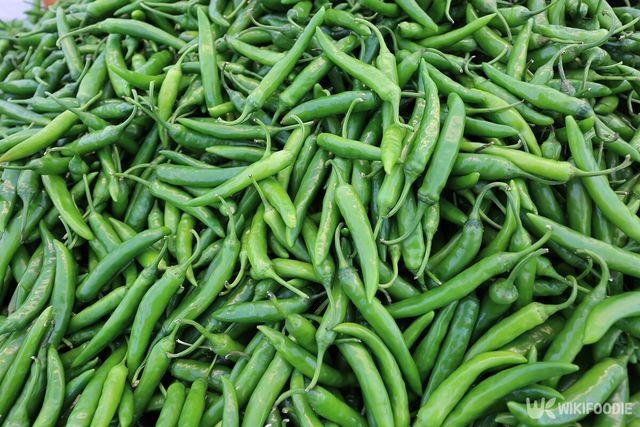 고추 자료사진. / Stock for you-shutterstock.com