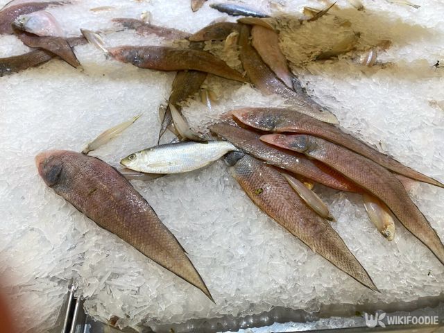 서대 이해를 돕기 위한 참고 사진. / Nisa Rizal-shutterstock.com